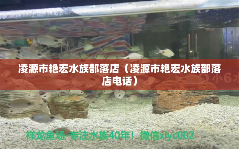 凌源市艳宏水族部落店（凌源市艳宏水族部落店电话）