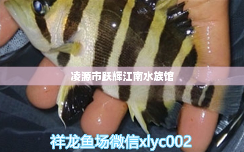 凌源市跃辉江南水族馆