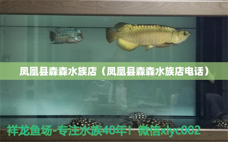 凤凰县森森水族店（凤凰县森森水族店电话） 全国水族馆企业名录