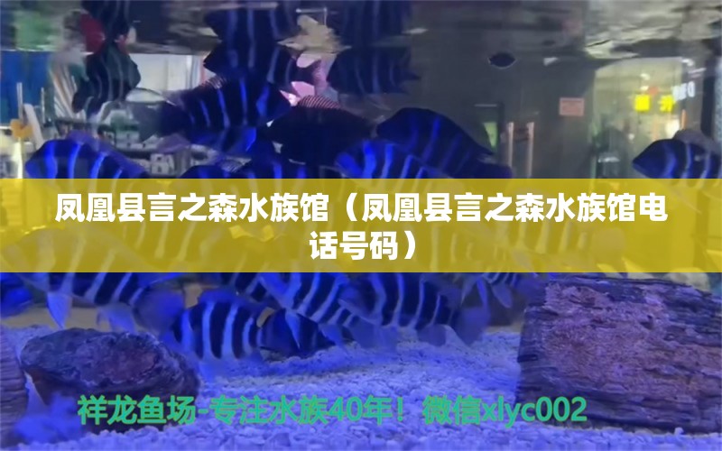 凤凰县言之森水族馆（凤凰县言之森水族馆电话号码）