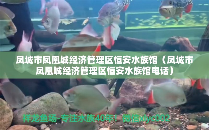 凤城市凤凰城经济管理区恒安水族馆（凤城市凤凰城经济管理区恒安水族馆电话）