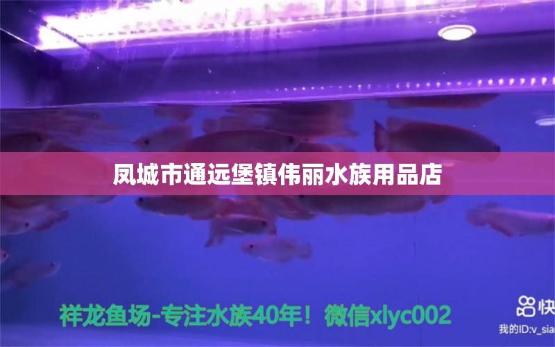 凤城市通远堡镇伟丽水族用品店 水族用品