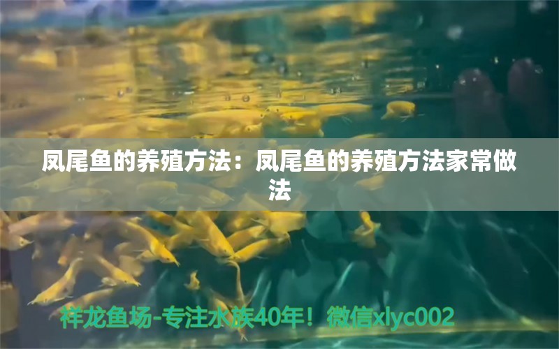 凤尾鱼的养殖方法：凤尾鱼的养殖方法家常做法