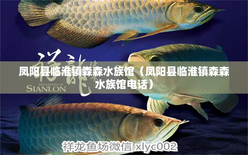 凤阳县临淮镇森森水族馆（凤阳县临淮镇森森水族馆电话）