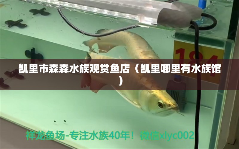 凯里市森森水族观赏鱼店（凯里哪里有水族馆） 全国水族馆企业名录