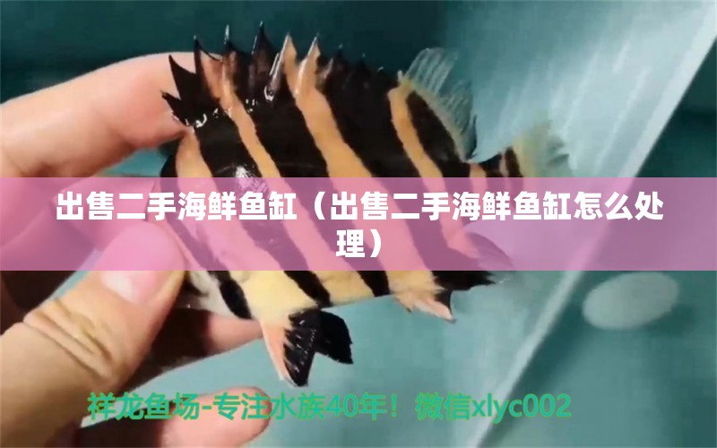 出售二手海鲜鱼缸（出售二手海鲜鱼缸怎么处理） 其他品牌鱼缸