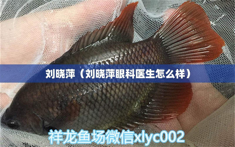 刘晓萍（刘晓萍眼科医生怎么样） 全国水族馆企业名录