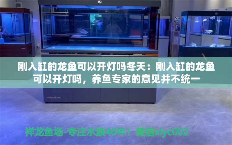 刚入缸的龙鱼可以开灯吗冬天：刚入缸的龙鱼可以开灯吗，养鱼专家的意见并不统一 龙鱼百科 第2张