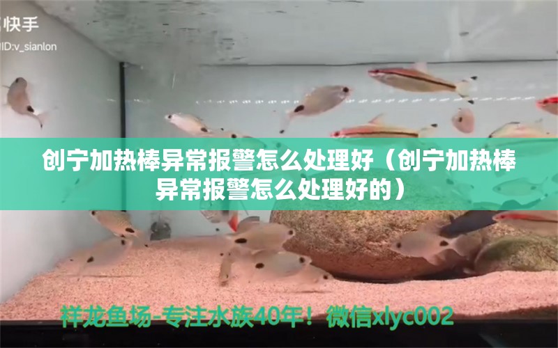 创宁加热棒异常报警怎么处理好（创宁加热棒异常报警怎么处理好的）