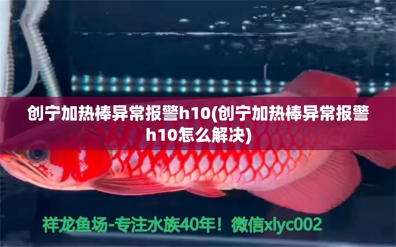 创宁加热棒异常报警h10(创宁加热棒异常报警h10怎么解决) 创宁水族 第1张