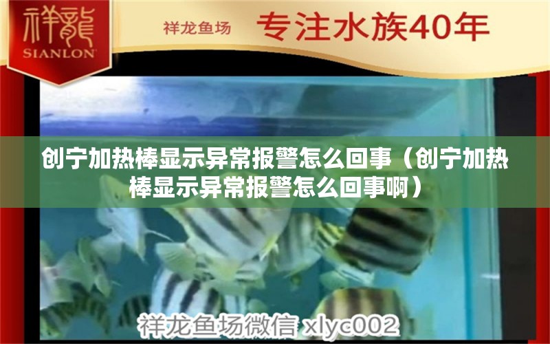 创宁加热棒显示异常报警怎么回事（创宁加热棒显示异常报警怎么回事啊）