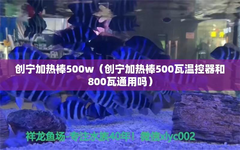 创宁加热棒500w（创宁加热棒500瓦温控器和800瓦通用吗）