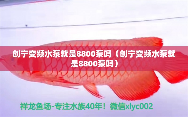 创宁变频水泵就是8800泵吗（创宁变频水泵就是8800泵吗）