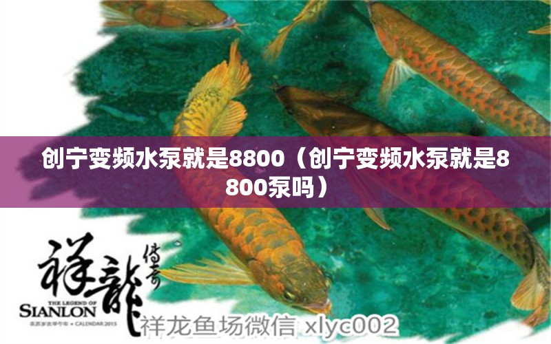 创宁变频水泵就是8800（创宁变频水泵就是8800泵吗）