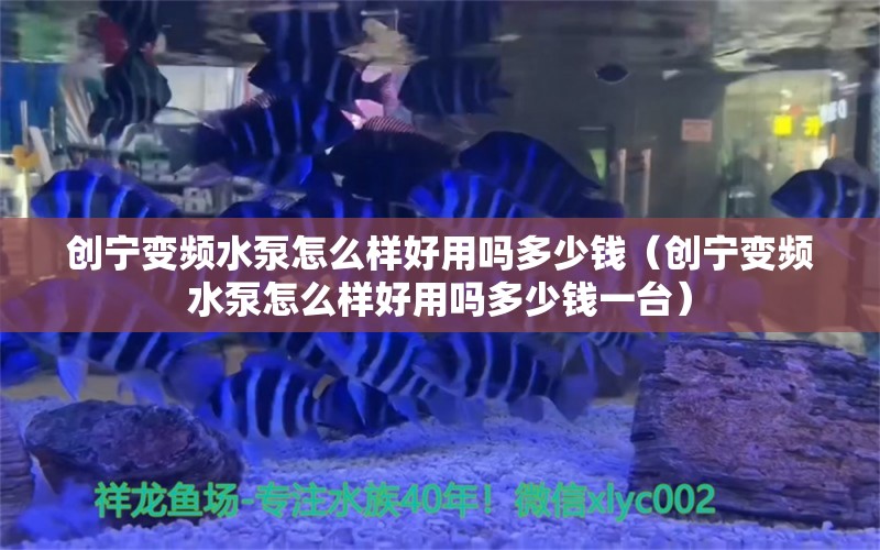 创宁变频水泵怎么样好用吗多少钱（创宁变频水泵怎么样好用吗多少钱一台）