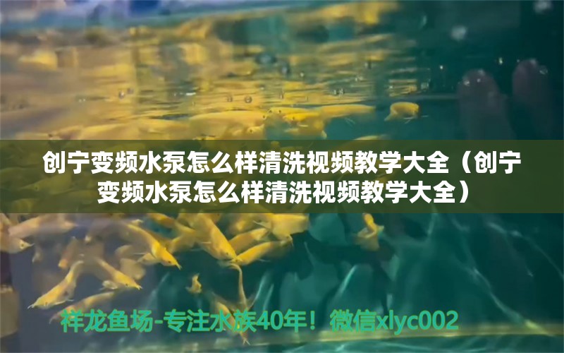 创宁变频水泵怎么样清洗视频教学大全（创宁变频水泵怎么样清洗视频教学大全） 创宁水族