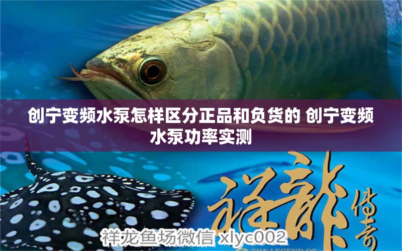 创宁变频水泵怎样区分正品和负货的 创宁变频水泵功率实测 红龙福龙鱼 第1张