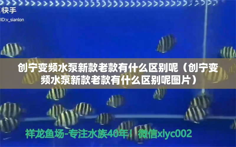 创宁变频水泵新款老款有什么区别呢（创宁变频水泵新款老款有什么区别呢图片）