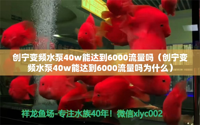 创宁变频水泵40w能达到6000流量吗（创宁变频水泵40w能达到6000流量吗为什么）