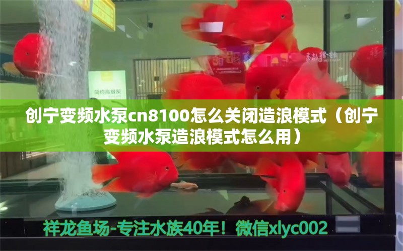 创宁变频水泵cn8100怎么关闭造浪模式（创宁变频水泵造浪模式怎么用）