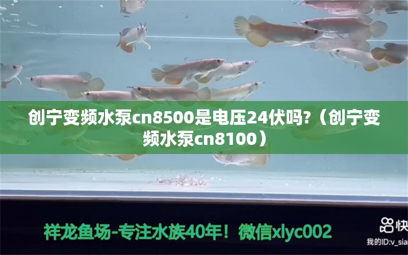 创宁变频水泵cn8500是电压24伏吗?（创宁变频水泵cn8100）