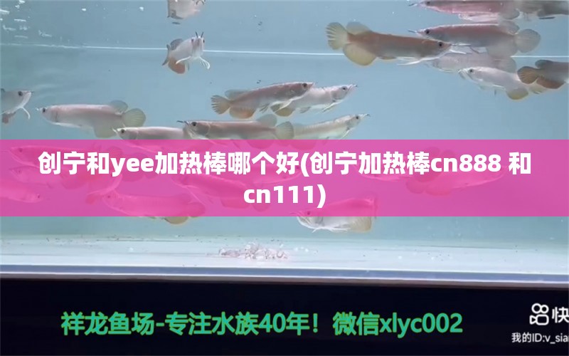 创宁和yee加热棒哪个好(创宁加热棒cn888 和cn111)