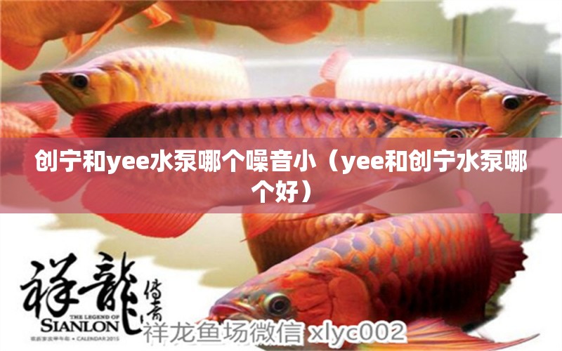 创宁和yee水泵哪个噪音小（yee和创宁水泵哪个好）