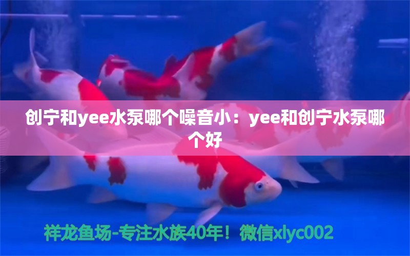 创宁和yee水泵哪个噪音小：yee和创宁水泵哪个好 yee