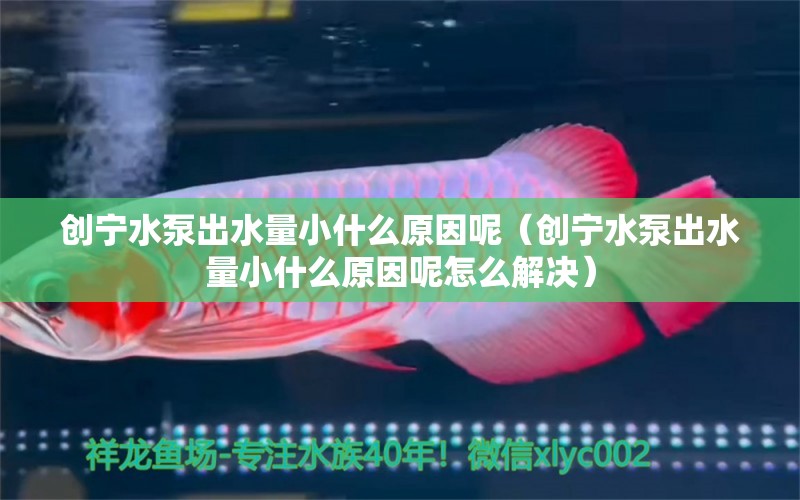 创宁水泵出水量小什么原因呢（创宁水泵出水量小什么原因呢怎么解决）