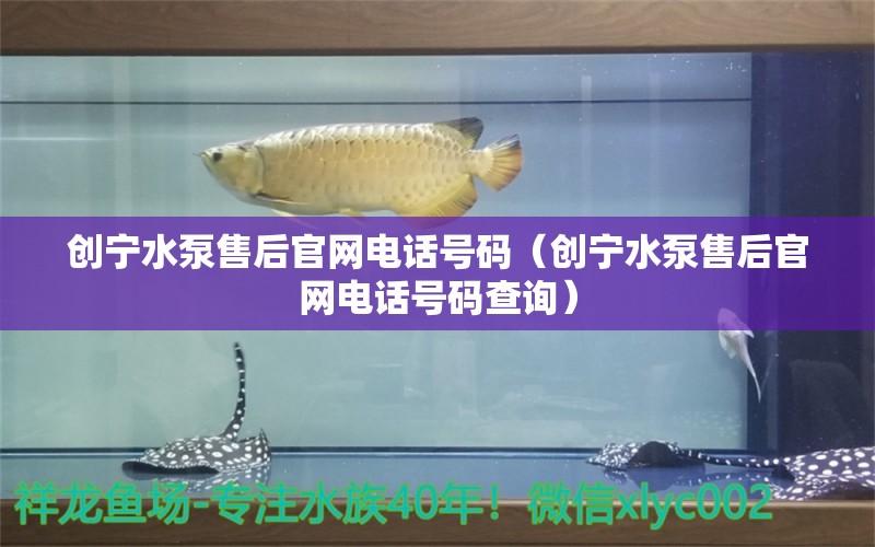 创宁水泵售后官网电话号码（创宁水泵售后官网电话号码查询） 创宁水族