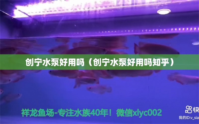 创宁水泵好用吗（创宁水泵好用吗知乎）