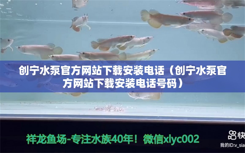 创宁水泵官方网站下载安装电话（创宁水泵官方网站下载安装电话号码） 创宁水族