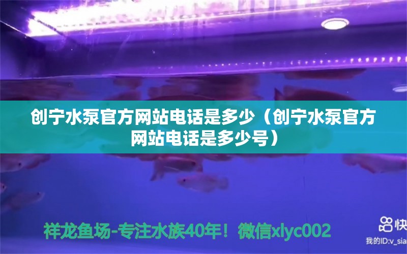 创宁水泵官方网站电话是多少（创宁水泵官方网站电话是多少号）