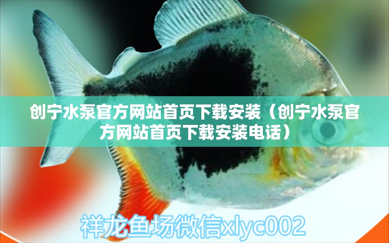 创宁水泵官方网站首页下载安装（创宁水泵官方网站首页下载安装电话）