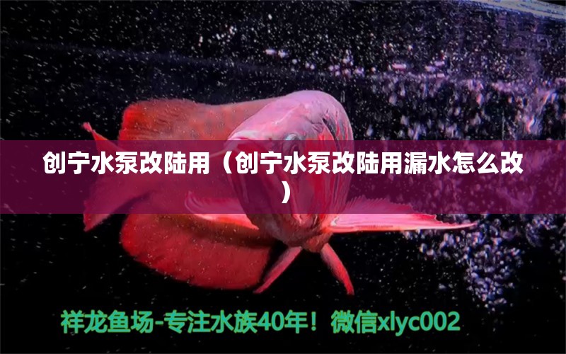 创宁水泵改陆用（创宁水泵改陆用漏水怎么改）