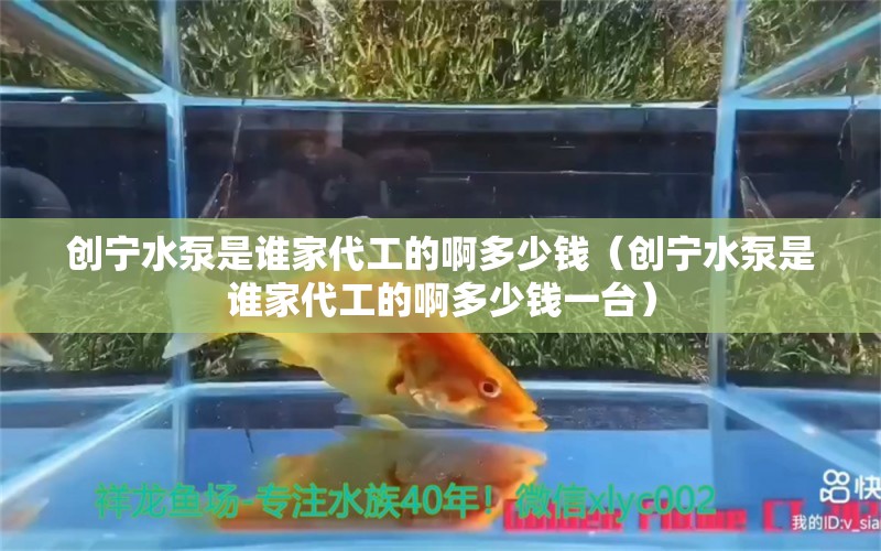 创宁水泵是谁家代工的啊多少钱（创宁水泵是谁家代工的啊多少钱一台）