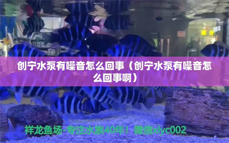 创宁水泵有噪音怎么回事（创宁水泵有噪音怎么回事啊）