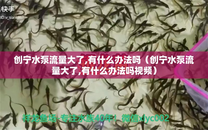 创宁水泵流量大了,有什么办法吗（创宁水泵流量大了,有什么办法吗视频） 创宁水族