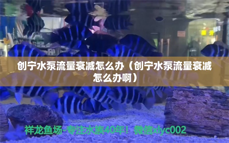 创宁水泵流量衰减怎么办（创宁水泵流量衰减怎么办啊）