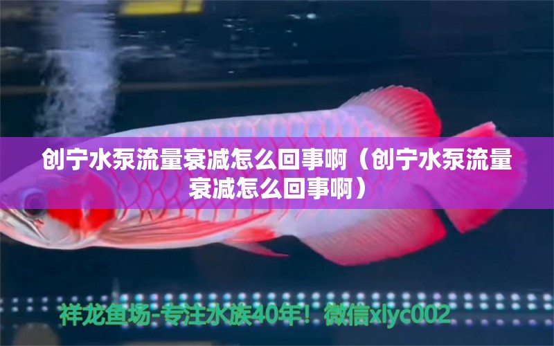 创宁水泵流量衰减怎么回事啊（创宁水泵流量衰减怎么回事啊）