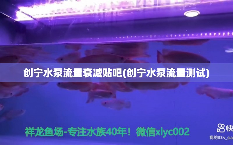 创宁水泵流量衰减贴吧(创宁水泵流量测试)