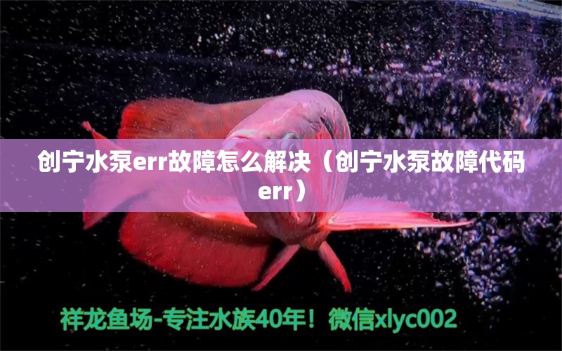 创宁水泵err故障怎么解决（创宁水泵故障代码err）