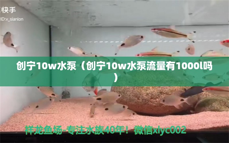 创宁10w水泵（创宁10w水泵流量有1000l吗）