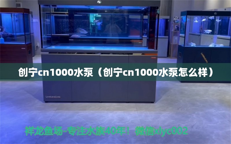 创宁cn1000水泵（创宁cn1000水泵怎么样）