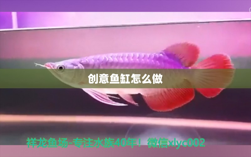 创意鱼缸怎么做