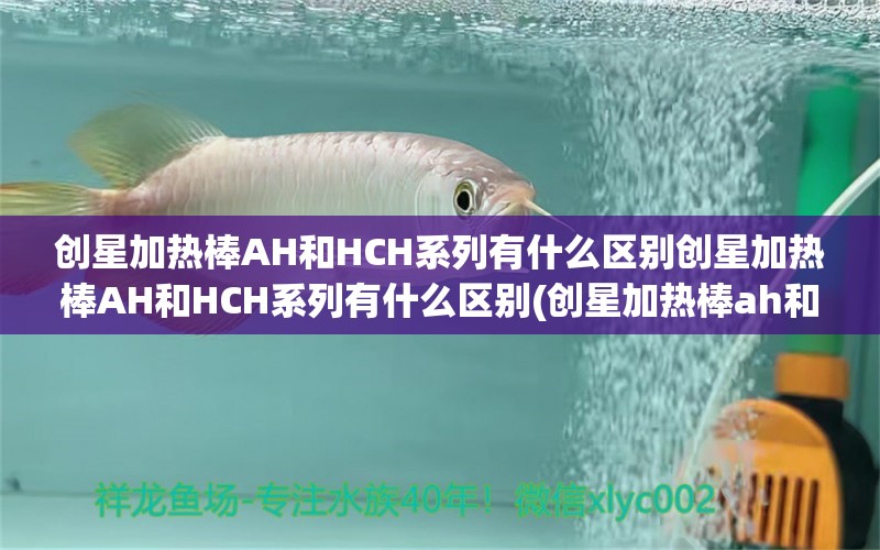 创星加热棒AH和HCH系列有什么区别创星加热棒AH和HCH系列有什么区别(创星加热棒ah和hch系列有什么区别)的简单介绍 三间鼠鱼 第1张