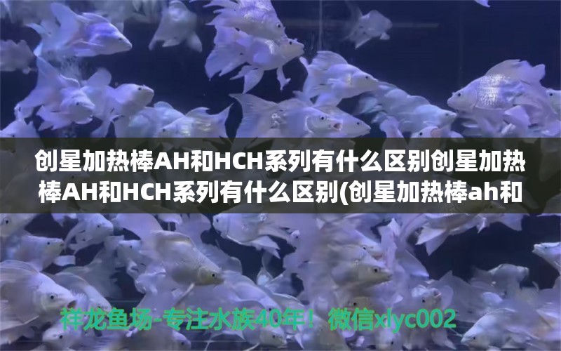 创星加热棒AH和HCH系列有什么区别创星加热棒AH和HCH系列有什么区别(创星加热棒ah和hch系列有什么区别)