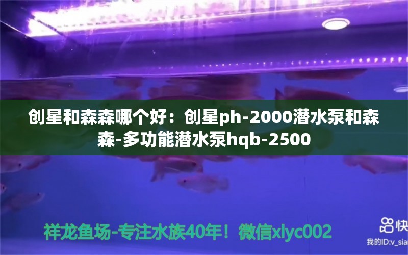 创星和森森哪个好：创星ph-2000潜水泵和森森-多功能潜水泵hqb-2500