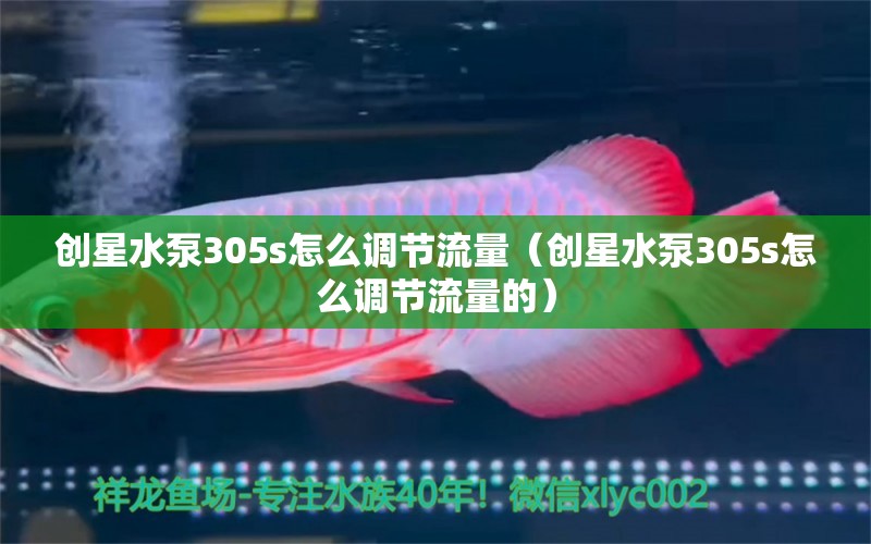 创星水泵305s怎么调节流量（创星水泵305s怎么调节流量的）