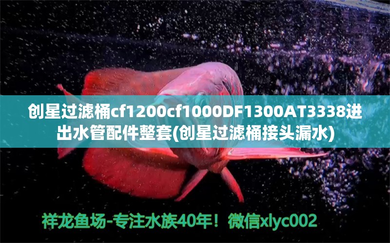 创星过滤桶cf1200cf1000DF1300AT3338进出水管配件整套(创星过滤桶接头漏水) 广州水族器材滤材批发市场 第1张